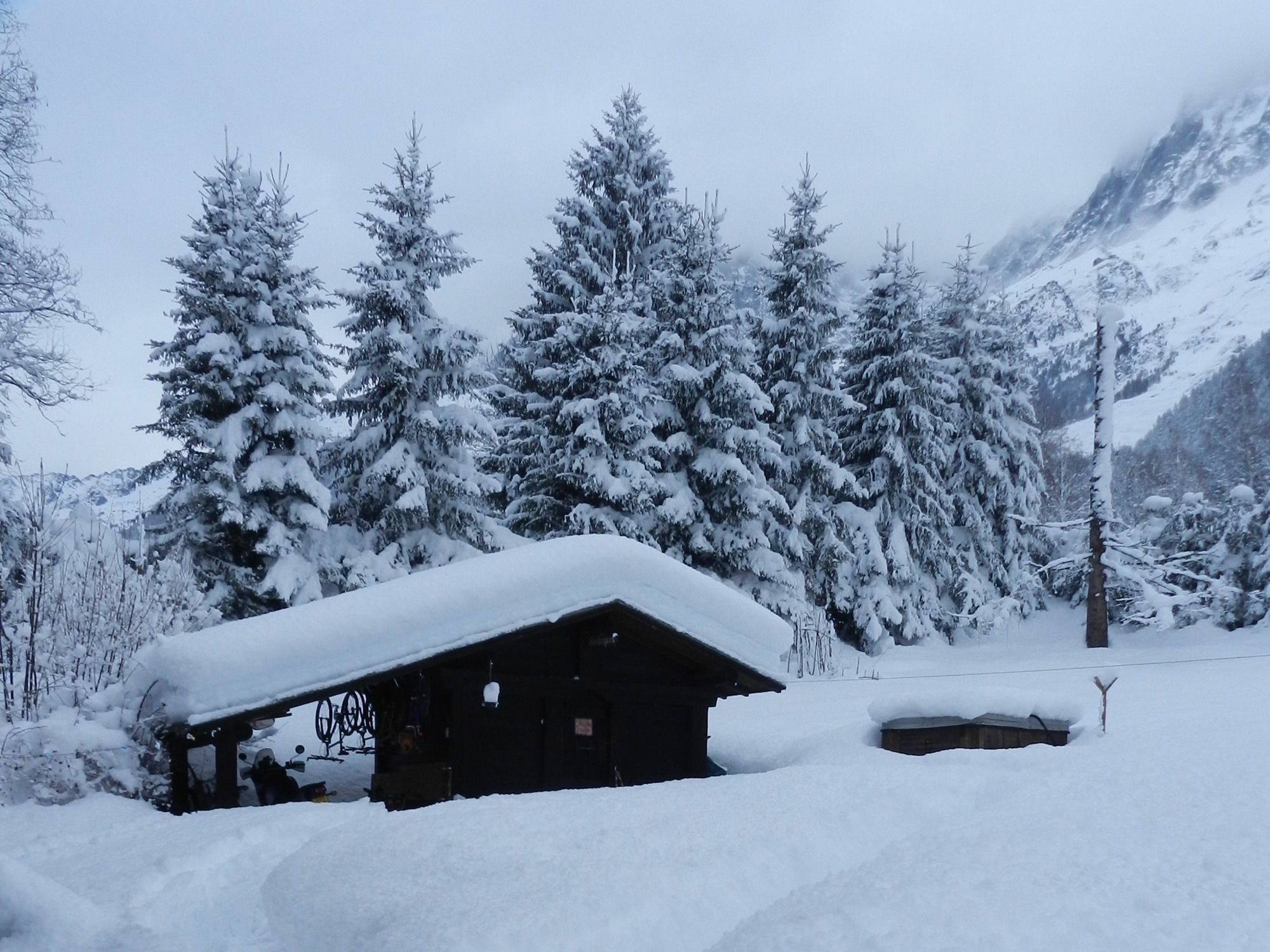 ชาเลต์ เล เฟรน Bed & Breakfast Chamonix ภายนอก รูปภาพ